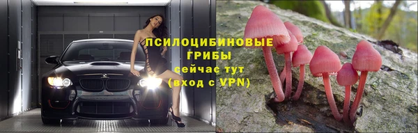 круглые Корсаков