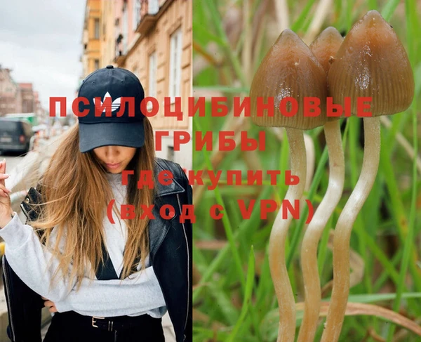 хмурый Костерёво
