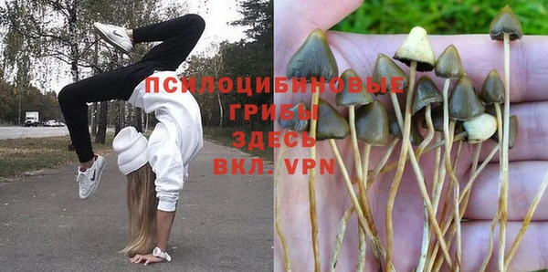 хмурый Костерёво