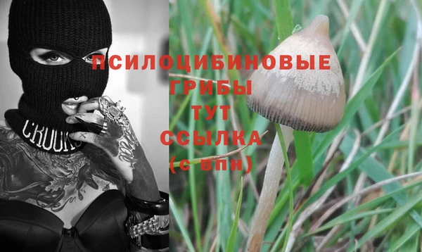 хмурый Костерёво