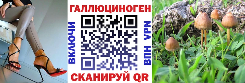 Купить закладки  Валдай  Галлюциногенные грибы ЛСД 