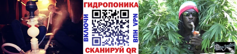 Каннабис семена  Купить закладки  Валдай 